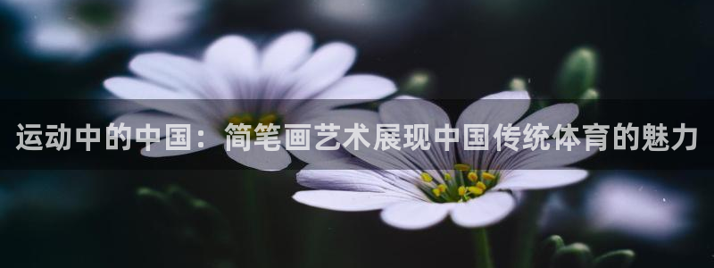 JJB竞技宝官网下载:运动中的中国:简笔画艺术展现中国传统体