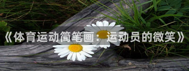 JJB竞技宝官方正版app集团logo:《体育运动简笔画:运
