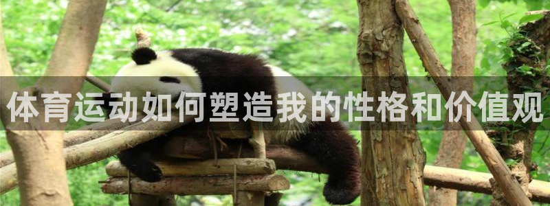 JJB竞技宝官网下载:体育运动如何塑造我的性格和价值观